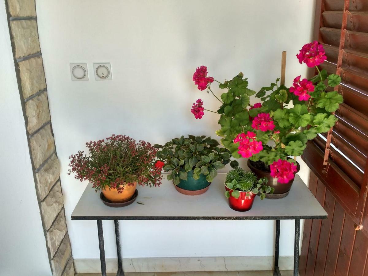 Apartmani Tonica Sukošan Dış mekan fotoğraf